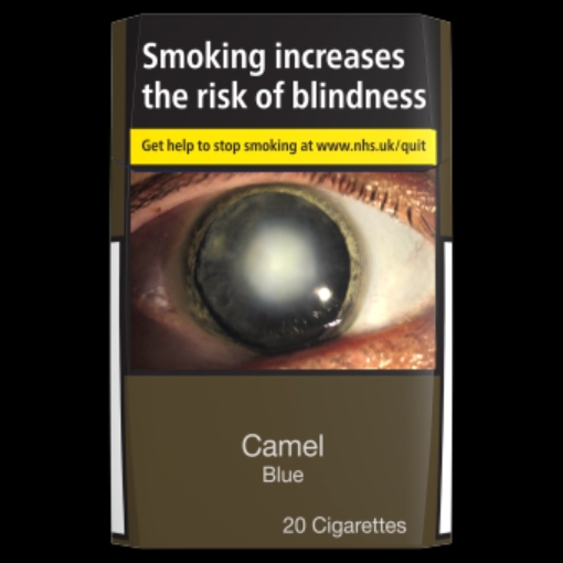 Picture of CAMEL SUBTLE FLAVOUR BLUE 20S